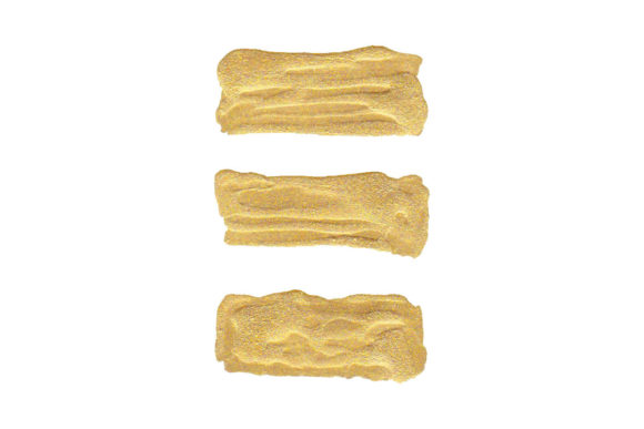 Elevating Digital Craftsmanship with the Handmade Golden Brush Set