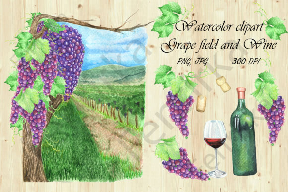 Watercolor Clipart Grape Field and Wine: A Practical Guide for Creators