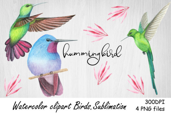 Watercolor Clipart Hummingbird.Sublimat: Elevating Designs with Hand-Drawn Exotic Birds